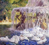 The Swans at Play