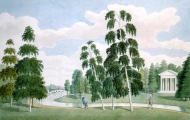 Английский парк в Петергофе. Вид с Березовым домиком