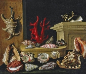 Натюрморт с ракушками и кораллами